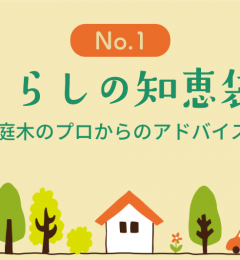 庭木のプロからのアドバイス