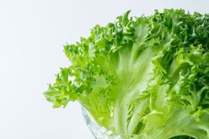 【健康野菜村】ふわシャキレタスセット