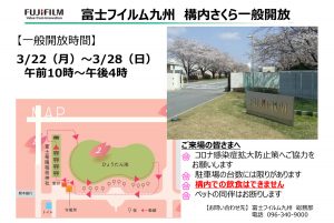 富士フイルム九州 構内さくら一般公開について
